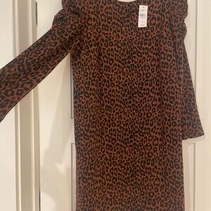 Ann Taylor loft shift dress